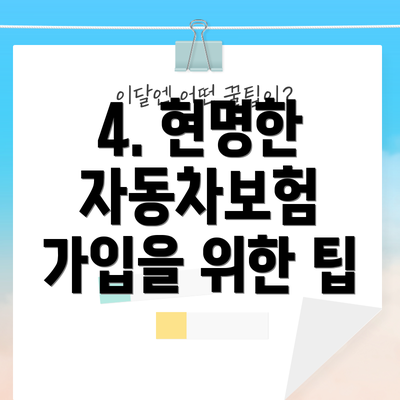 4. 현명한 자동차보험 가입을 위한 팁