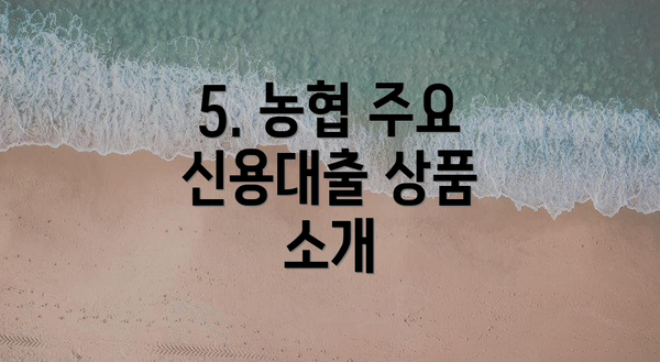 5. 농협 주요 신용대출 상품 소개