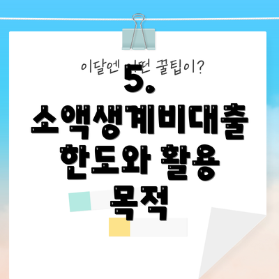 5. 소액생계비대출 한도와 활용 목적