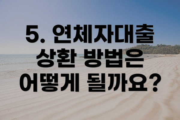 5. 연체자대출 상환 방법은 어떻게 될까요?