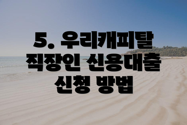 5. 우리캐피탈 직장인 신용대출 신청 방법
