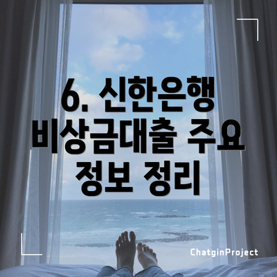 6. 신한은행 비상금대출 주요 정보 정리