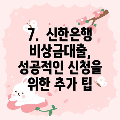 7. 신한은행 비상금대출, 성공적인 신청을 위한 추가 팁