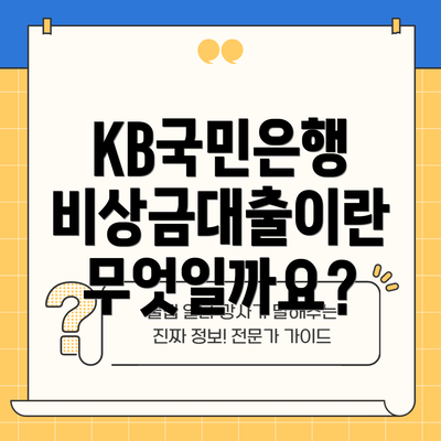 KB국민은행 비상금대출이란 무엇일까요?