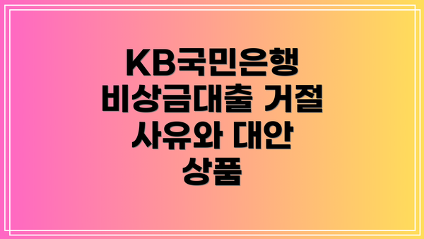 KB국민은행 비상금대출 거절 사유와 대안 상품