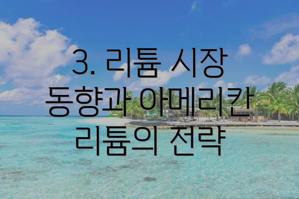 3. 리튬 시장 동향과 아메리칸 리튬의 전략