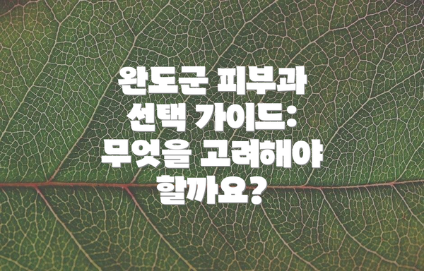 완도군 피부과 선택 가이드: 무엇을 고려해야 할까요?