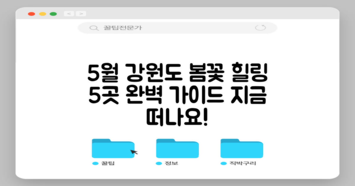 5월 강원도 여행, 봄꽃 만발 힐링 가득한 5곳으로 떠나는 완벽 가이드