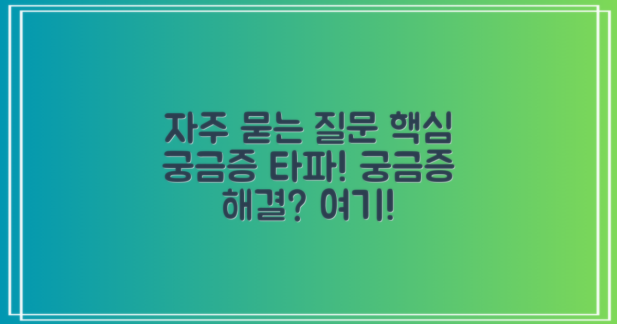 자주 묻는 질문