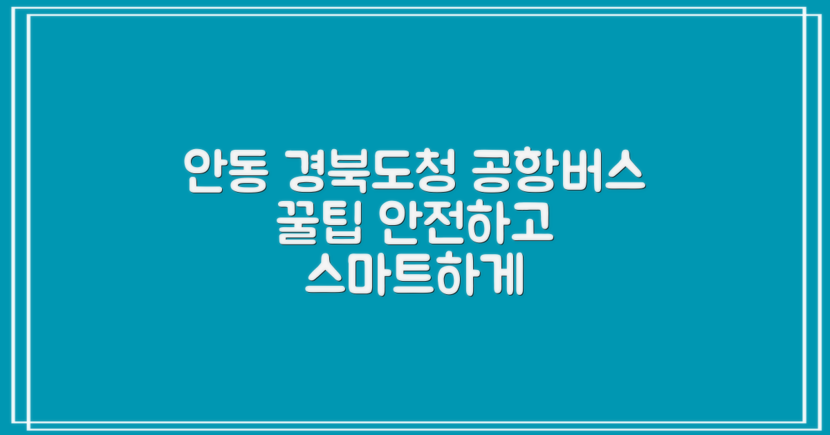 안동 경북도청 공항버스, 공항까지 안전하고 똑똑하게 가는 법