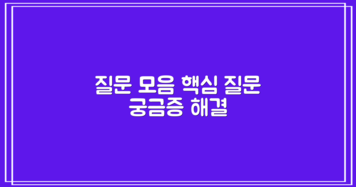 자주 묻는 질문
