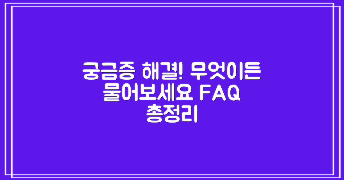 자주 묻는 질문