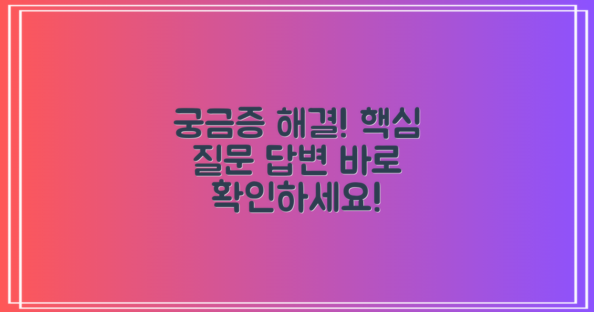 자주 묻는 질문
