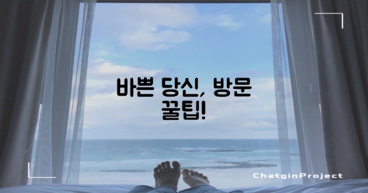 바쁜 당신, 언제 방문해야 할까?