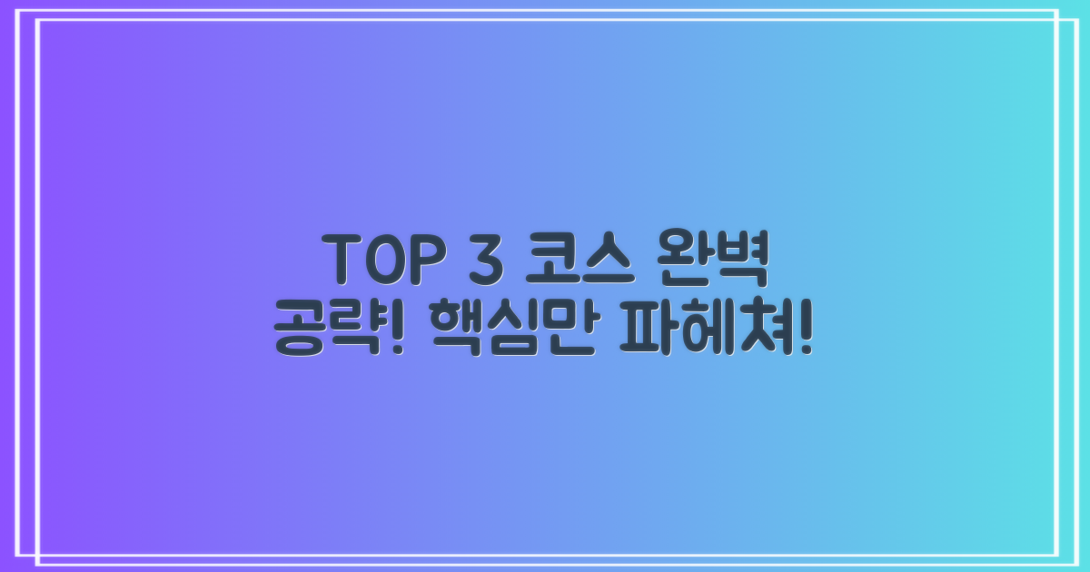 TOP 3 코스 심층 분석