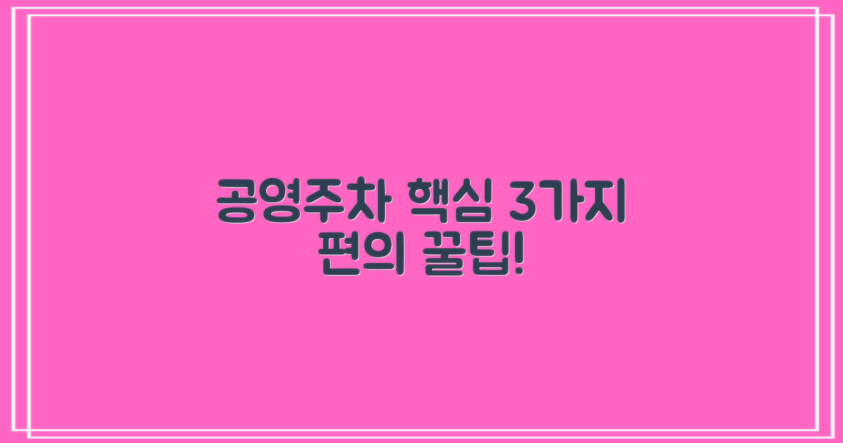 공영 주차 3가지 편의