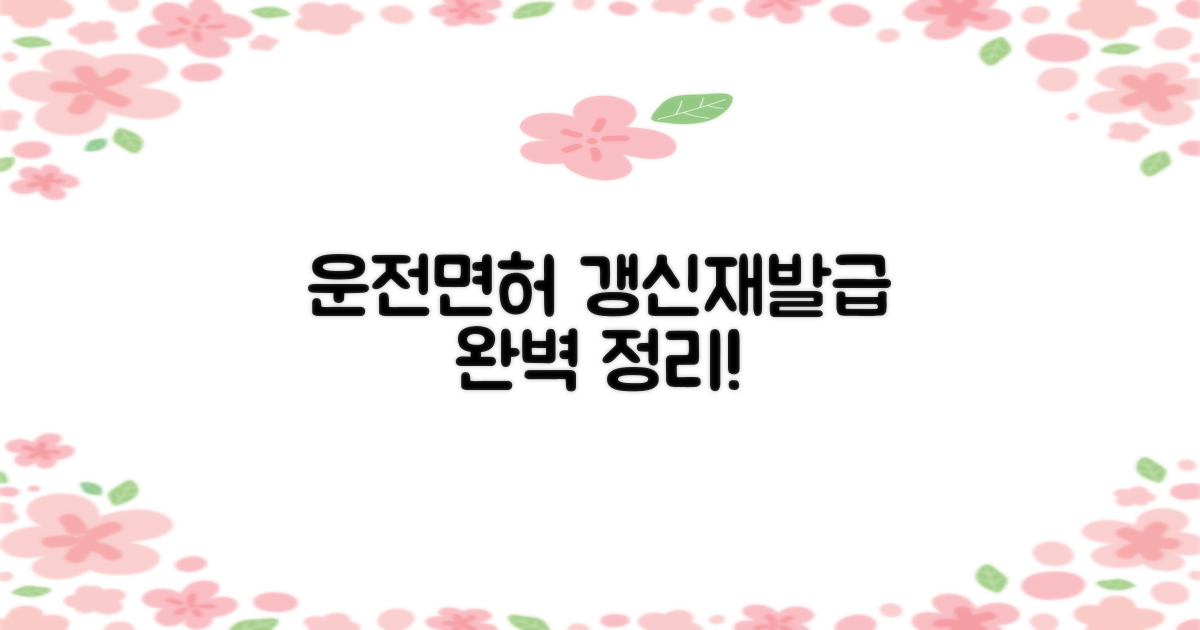 면허 갱신/재발급 절차 상세