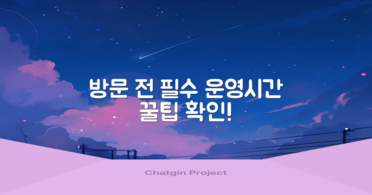 방문 전 필수! 운영 시간 꿀팁